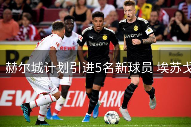 赫尔城计划引进5名新球员 埃苏戈和瓦格诺曼在引援名单