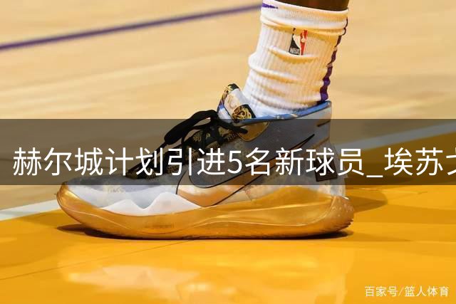 赫尔城计划引进5名新球员 埃苏戈和瓦格诺曼在引援名单