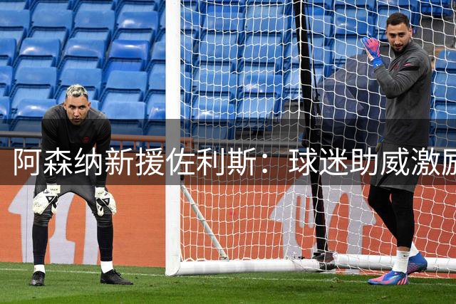 阿森纳新援佐利斯：球迷助威激励我在边路发挥
